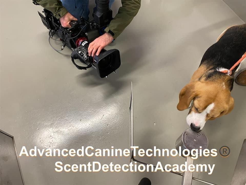 Advanced Canine Technologies